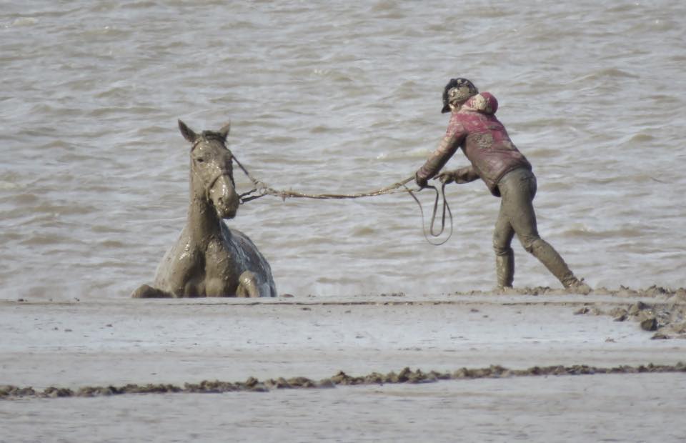 #19 - HORSE AND RIDER IN MUD - 14/04/2019